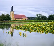 熊猫体育官网-苏格兰客场战平斯洛文尼亚，晋级前景堪忧的简单介绍